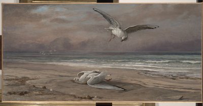The Dying Sea Gull, 1879 by Elihu Vedder